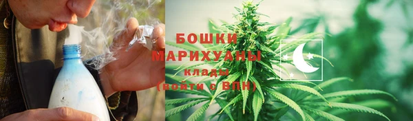 гидра Покачи