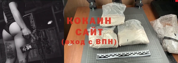 гидра Покачи