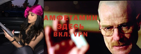 гидра Покачи