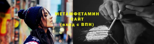 гидра Покачи