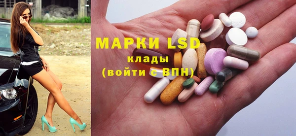 гидра Покачи