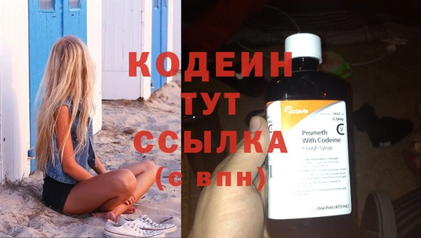 гидра Покачи