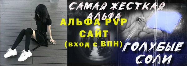 гидра Покачи