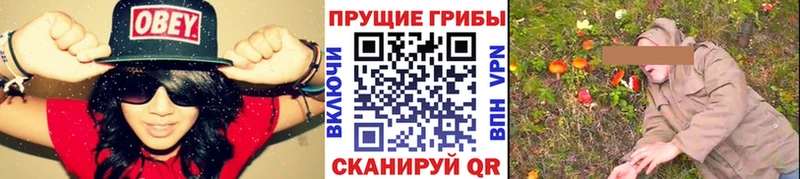 Псилоцибиновые грибы мицелий  как найти закладки  Свирск 
